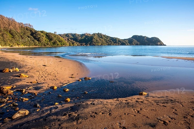 Landscape with sea and sandy beach in New Zealand. In the morning, golden hour. Otara Bay, Coromandel Peninsula, Waikato, New Zealand
