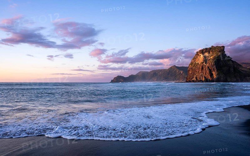 Landscape in New Zealand with sea and sandy beach. Piha Beach and Lion Rock. sunset. Piha, Waitakere Ranges, West Auckland, New Zealand