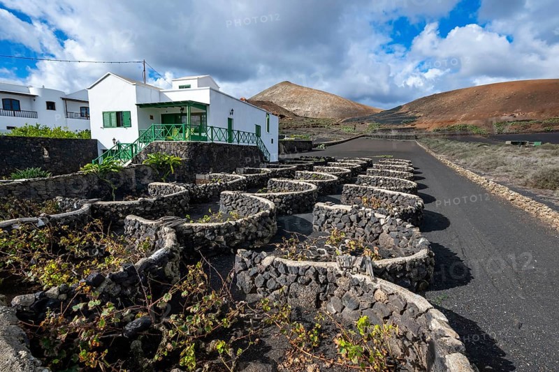 Typical white house between volcanic landscape, traditional wine-growing on Lapilli, Lanzarote, Canary Islands, Spain