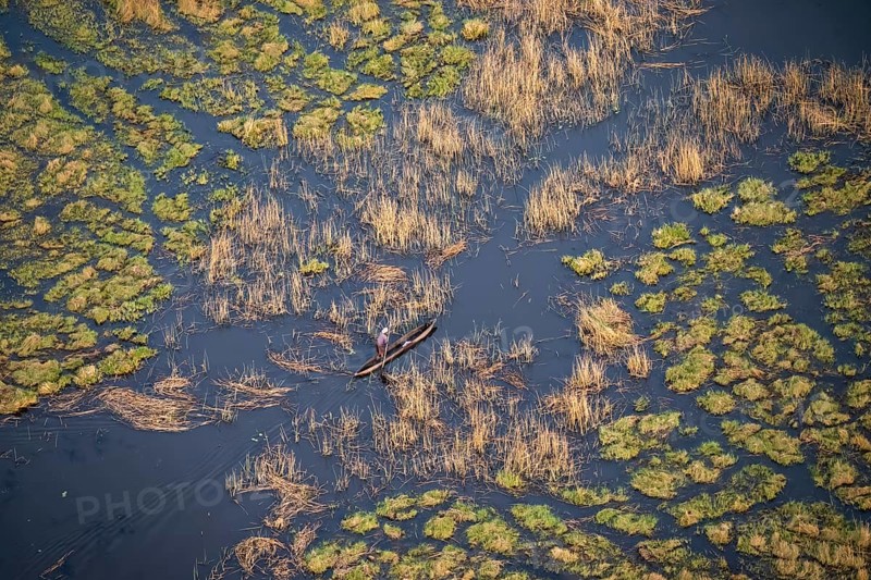 Marshland, marshland, Kavango fishermen with dugout boat, Mokoro, aerial view, Okavango Delta, Botswana