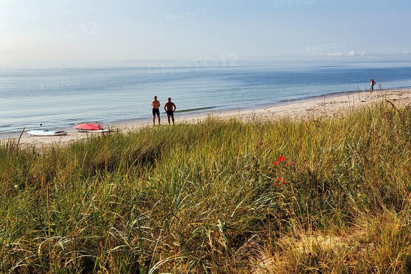 Two surfers waiting for waves, surfboards on the beach, no wind in the morning, coastline, summer in Ystad, Baltic Sea, Sweden
