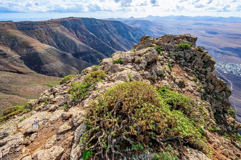 Castillejo viewpoint, view from the Risco de Famara Cliff, Lanzarote, Canary Islands, Spain