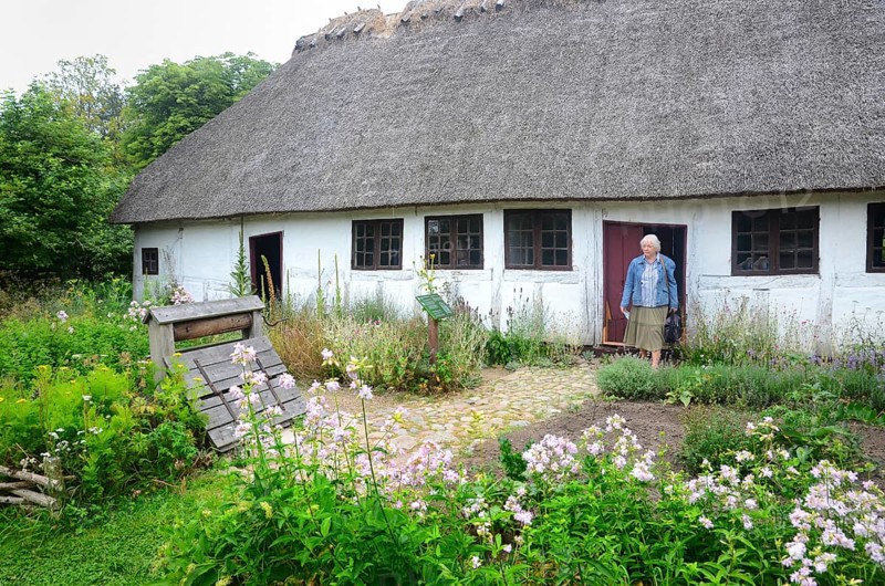 Half timbered house with thatched roof by older kitchen garden in Den gamle by, The old village, open air museum in Odense, Fyn island, Fuen, Denmark, Scandinavia