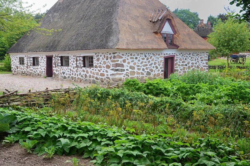 Stone house with thatched roof by older kitchen garden in Den gamle by, The old village, open air museum in Odense, Fyn island, Fuen, Denmark, Scandinavia