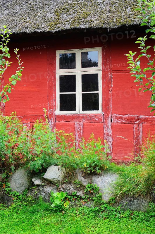Window in red wall of half-timbered house with thatched roof in Den gamle by, The old village, open air museum in Odense, Fyn island, Fuen, Denmark, Scandinavia
