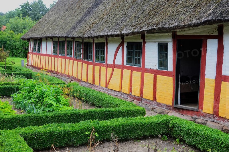 Half-timbered house with thatched roof by an older kitchen garden with boxwood hedges in Den gamle by, The old village, open air museum in Odense, Fyn island, Fuen, Denmark, Scandinavia