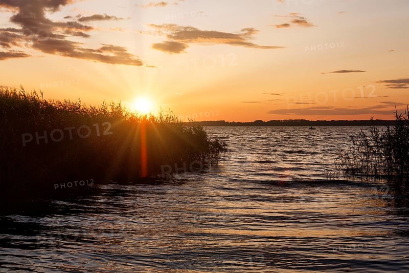 Typical landscape in southern Sweden, Lake Ringsjön, picturesque sunset on the shore, sunbeams through reeds, Horby, Skane, Skåne, Sweden
