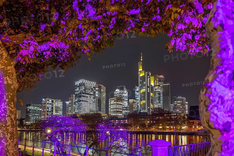 The lights of Frankfurt's banking skyline glow in the evening, Frankfurt am Main, Hesse, Germany