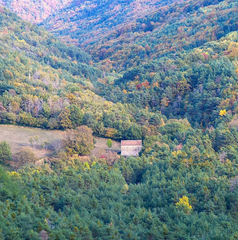 Autumn forested valley landscape with farm barn building near Echo or Hecho, Valle de Hecho, Huesca province, Aragon, Spain