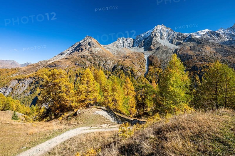 Autumn larches with mountain views, Evolene, Val d'Herens, Canton of Valais, Switzerland