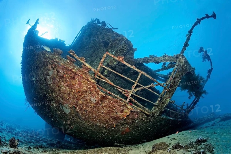 Wreck, shipwreck, Chrisoula K, also tile freighter, Greek, cargo ship, loaded with tiles, 101m length, 3807 GRT, stern, back light, sun, sunk 30.08.1981 on Sha'b reef, or Shaab Abu Nuhas, Red Sea, Egypt