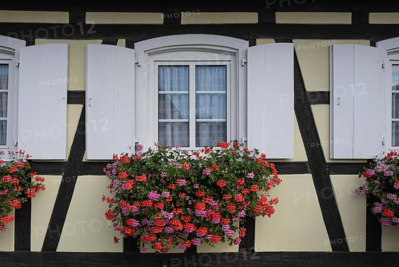 Window with floral decoration, half-timbered house, Alsace, France