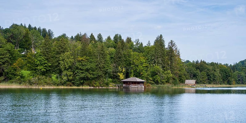 Hütte am Ufer des Tegernsee, Wald, Bad Wiessee, Upper Bavaria, Bavaria, Germany