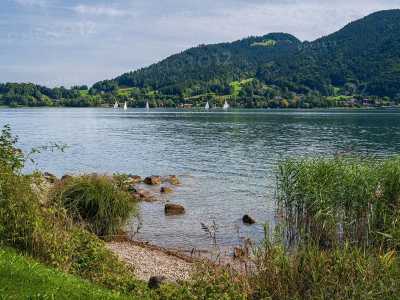 View from Bad Wiesee across Tegernsee to Sankt Quirin, shore of Tegernsee, Gmund am Tegernsee, Upper Bavaria, Bavaria, Germany