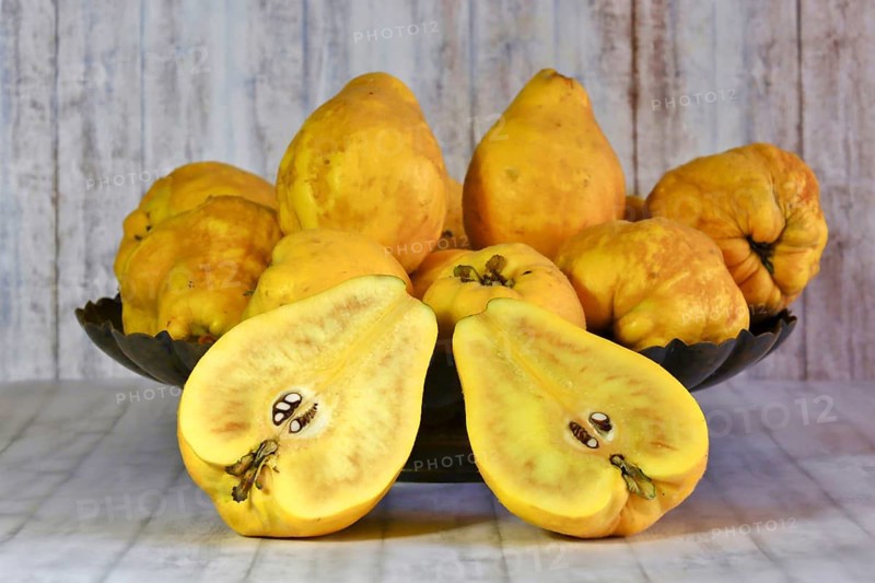 Picturesque still life with quinces, autumn, Germany