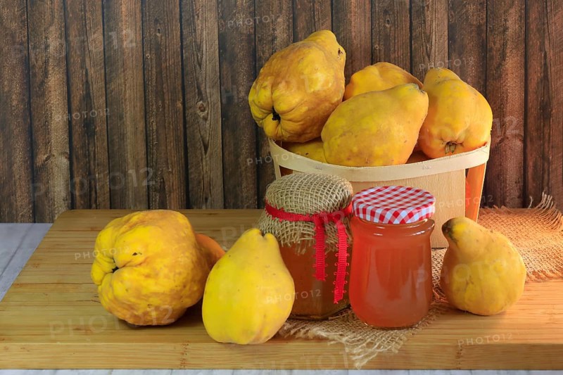 Picturesque still life with quinces and homemade quince jelly, autumn, Germany
