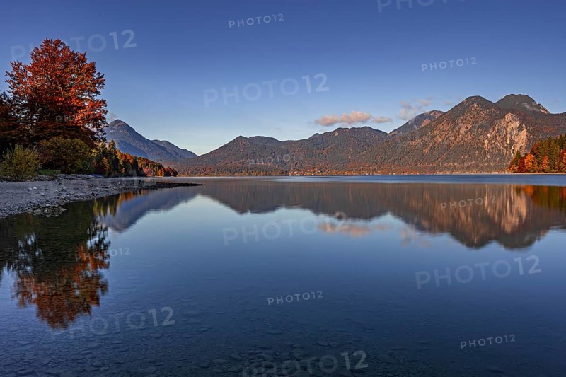 Mountain lake, mountains, morning light, reflection, autumn, autumn color, forest, shore, Walchensee, Upper Bavaria, Bavaria, Germany