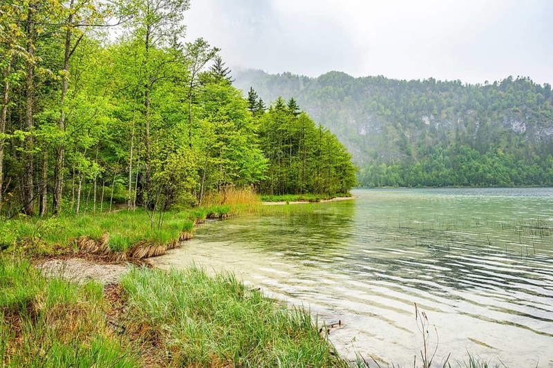 Landscape of Lake Offensee on a rainy day in spring, Salzkammergut, Austria