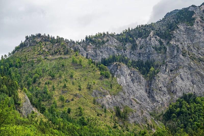 View into the mountains next to Lake Offensee on a rainy day in spring, Salzkammergut, Austria, Europe, Salzkammergut, Austria, Europe