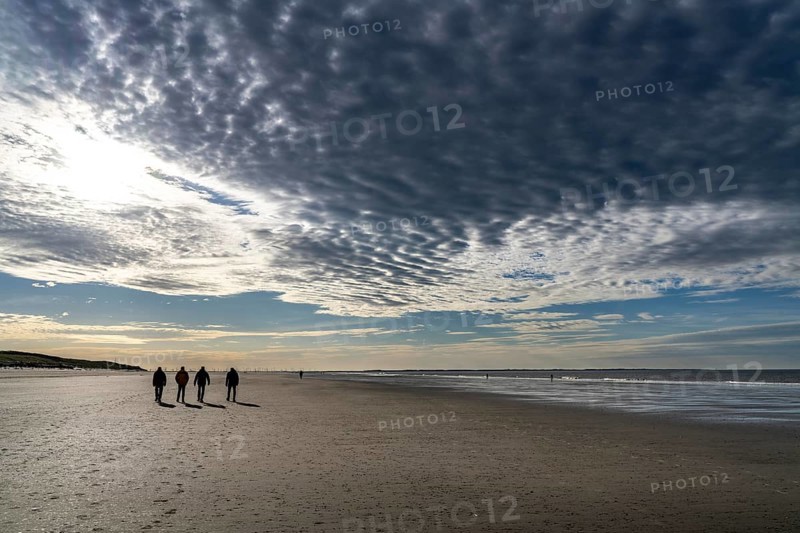 Walkers on the Wadden Sea near the East Frisian island of Spiekeroog, west of the North Sea island, at low tide, wind farm on the coast in the background, Lower Saxony, Germany