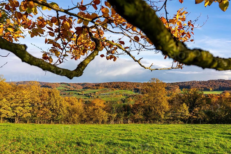 Autumn landscape in Elfringhauser Switzerland, south of Velbert-Langenberg, Germany