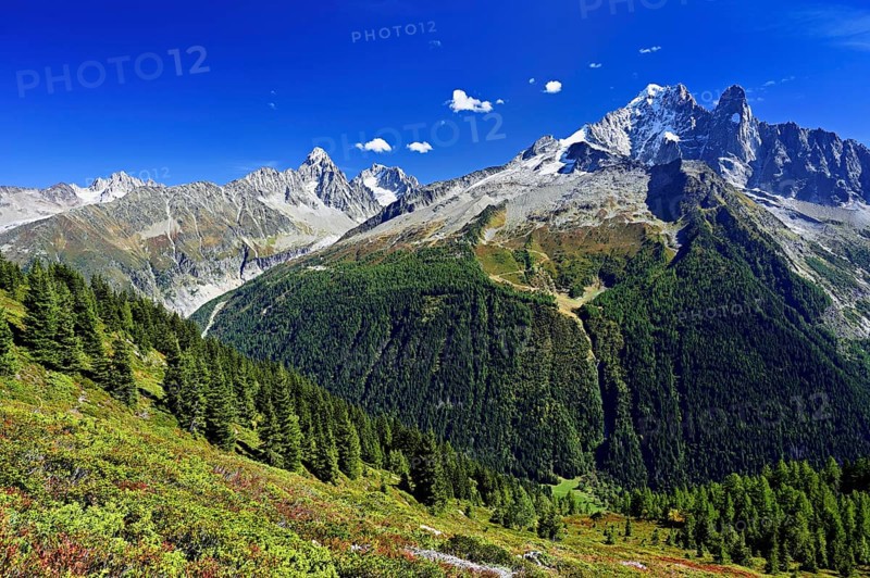 From left Aiguille du Chardonnet, in front foothills of the Argentière Glacier, on the right snow-covered Aiguille Verte, Aiguille du Dru, Chamonix-Mont-Blanc, Haute-Savoie, France