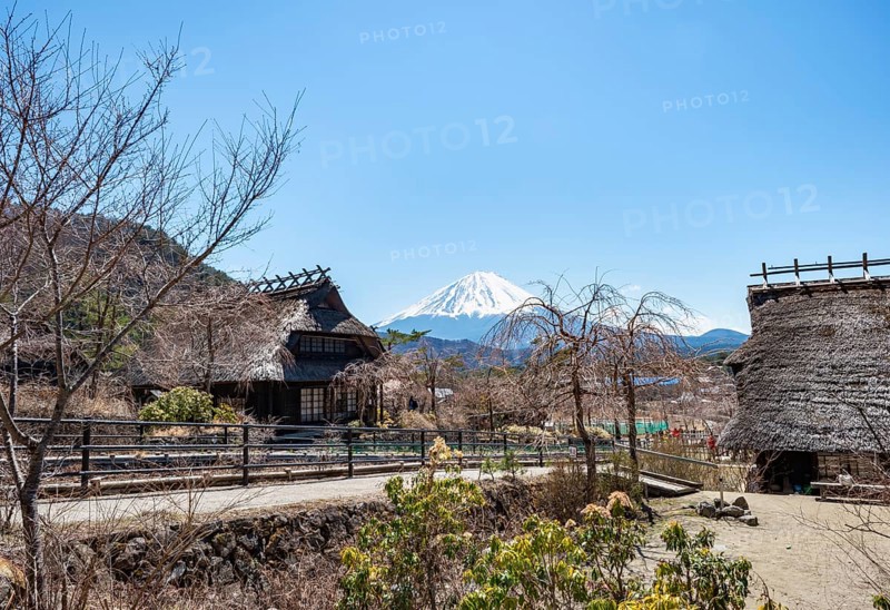 Iyashinosato open-air museum, old Japanese village with traditional houses, at the back volcano Mt. Fuji, Fujikawaguchiko, Saiko, Japón