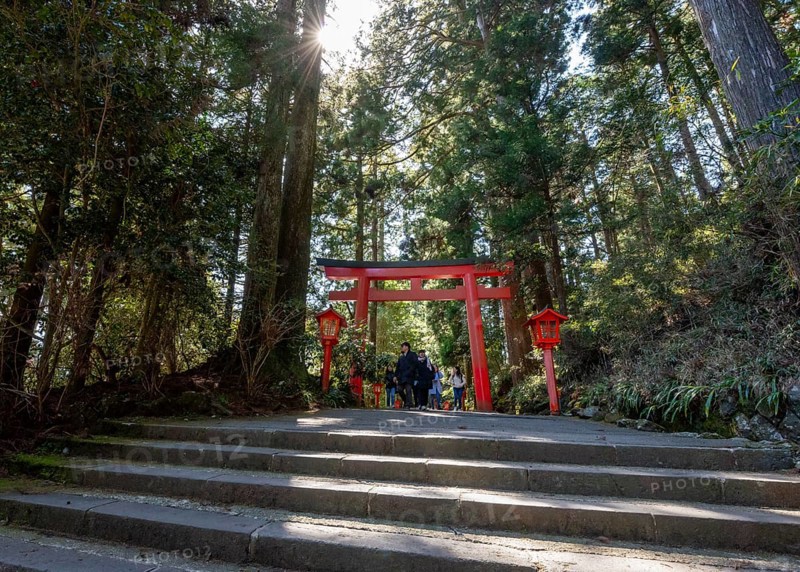 Trail through the forest with red torii, Hakone shrine, Shinto shrine, with sun star, Hakone, Japan