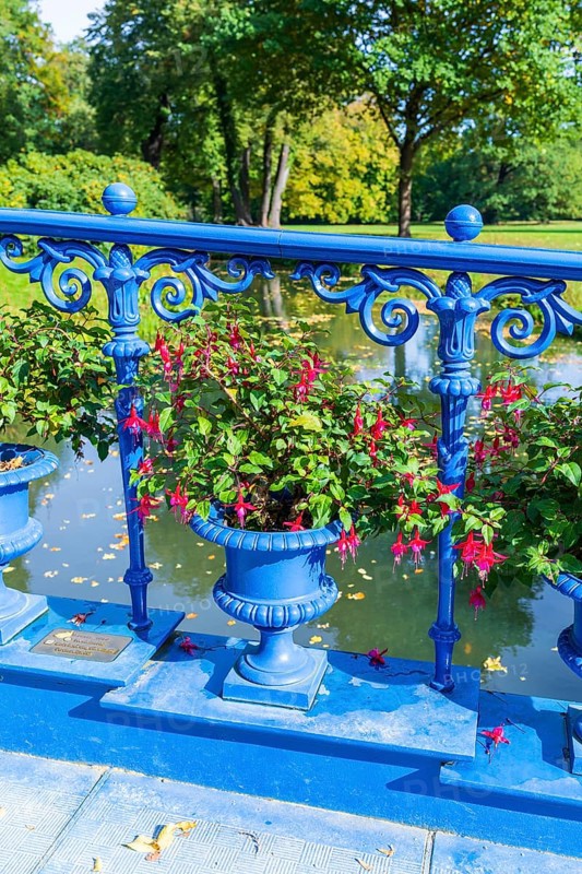 Fuchsia Bridge or Blue Bridge in Muskauer Park, UNESCO World Heritage Site, Bad Muskau, Upper Lusatia, Saxony, Germany