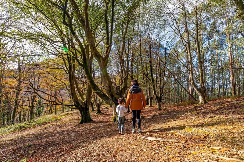 Mother and son enjoying a peaceful walk together through a mixed autumn forest, exploring nature and bonding during their family outing in the basque country
