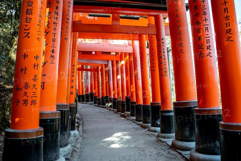 Walk through hundreds of red traditional torii gates, Fushimi Inari Taisha, Shinto Shrine, Fushimi Inari-taisha Okusha Hohaisho, Kyoto, Japan