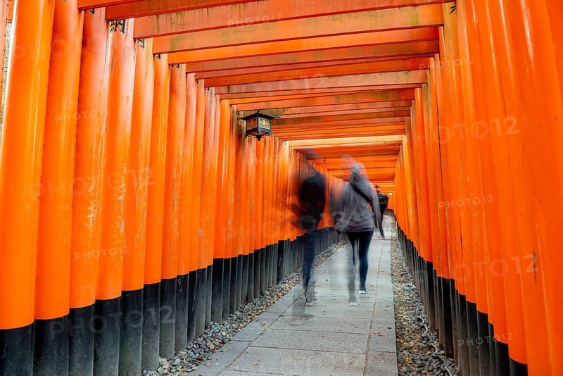 Visitors on a journey through hundreds of red traditional torii gates, Fushimi Inari-taisha, Shinto shrine, long exposure, motion blur, Fushimi Inari-taisha Okusha Hohaisho, Kyoto, Japan