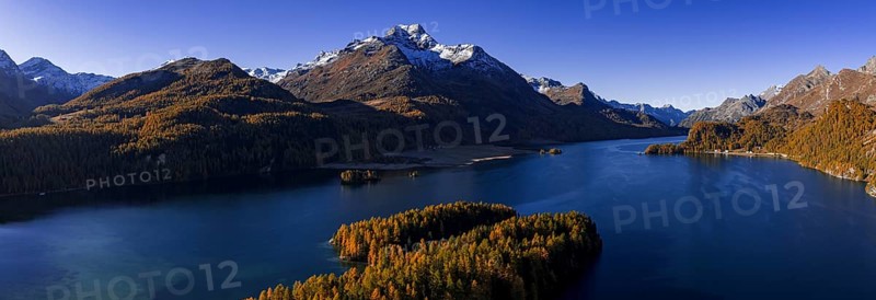 Mountain landscape, mountain lake, larch forest, autumn, autumn color, morning light, panorama, sunny, aerial view, Lake Sils, Engadin, Switzerland