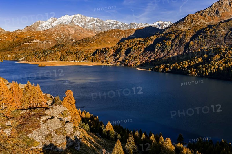 Mountain landscape, mountain lake, larch forest, autumn, autumn color, evening light, aerial view, Lake Sils, Engadin, Switzerland
