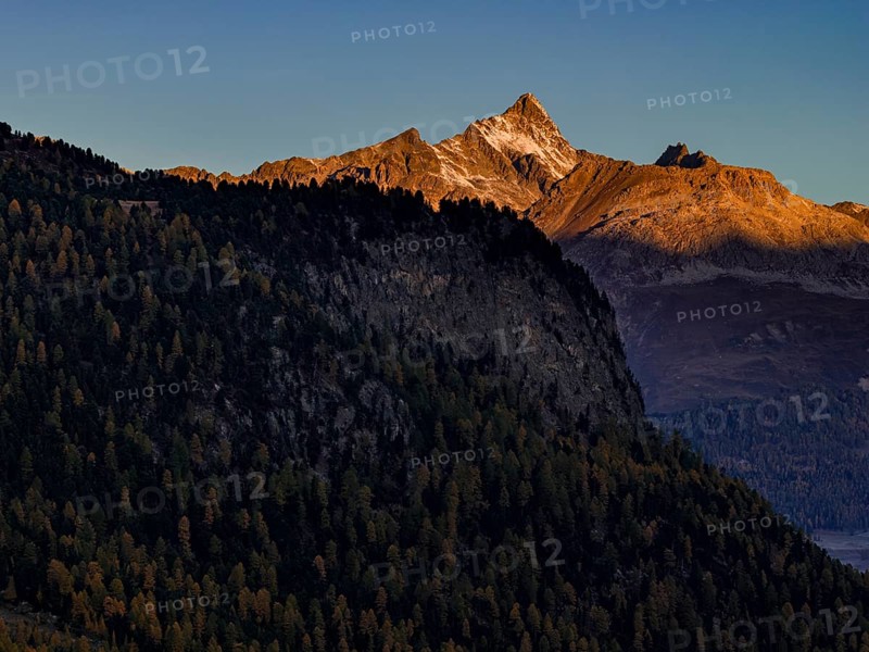 Mountain landscape, larch forest, autumn, autumn color, morning light, aerial view, Engadin, Switzerland