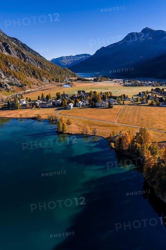 Mountain landscape, mountain lake, larch forest, autumn, autumn discoloration, morning light, sunny, aerial view, Sils Maria, Silser See, Engadin, Switzerland