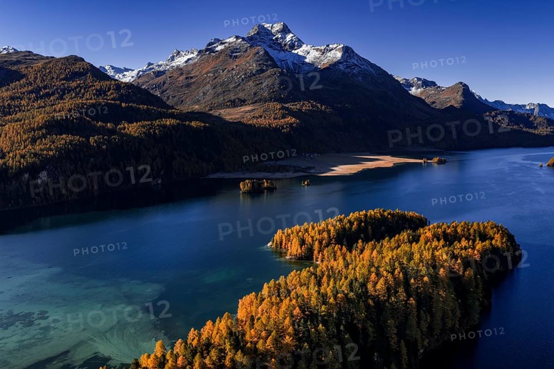Mountain landscape, mountain lake, larch forest, autumn, autumn color, morning light, sunny, aerial view, Lake Sils, Engadin, Switzerland