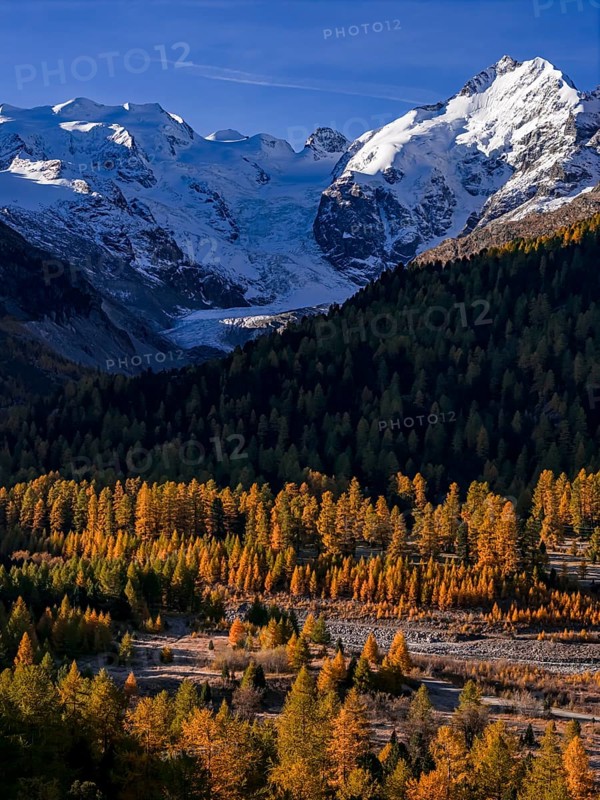 Mountain landscape, larch forest, autumn, autumn discoloration, morning light, aerial view, glacier, Morteratsch valley, Morteratsch glacier, Engadin, Switzerland