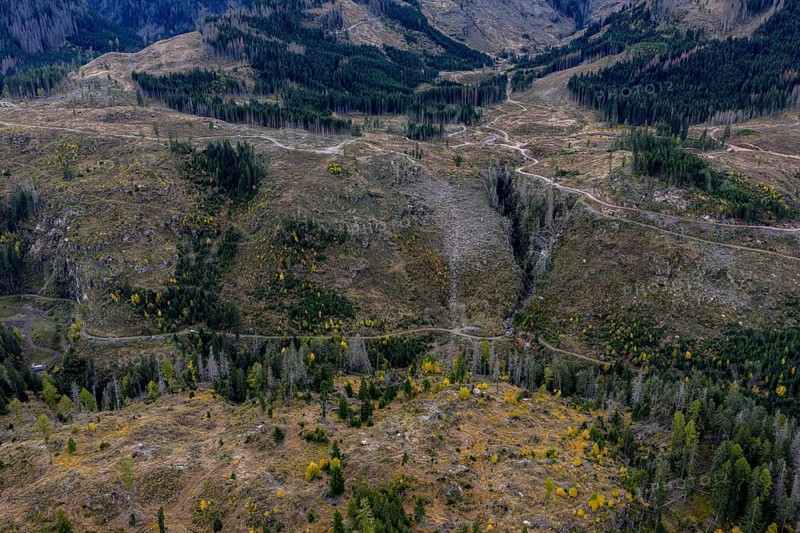 Logging, clearing, clearcut, timber industry, logging, mountain landscape, aerial view, autumn, cloudy, Paneveggio, Trentino, Dolomites