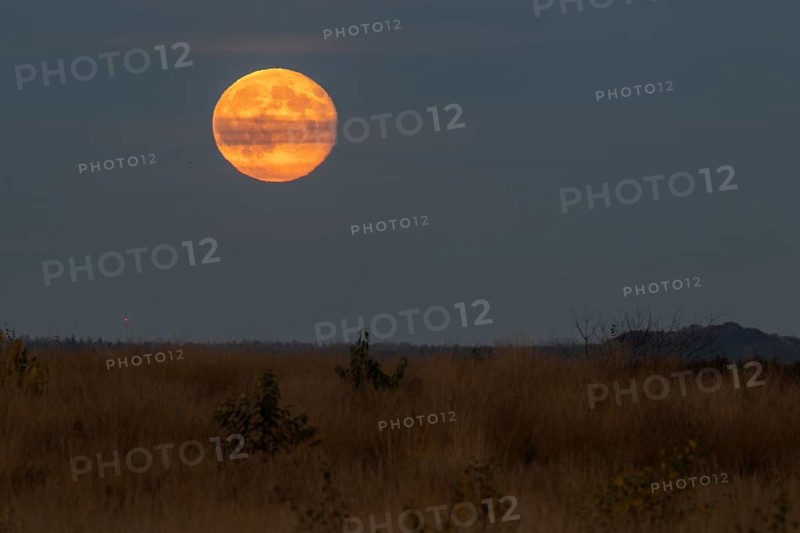 Full moon, super moon over the moor, Emsland, Lower Saxony, Germany