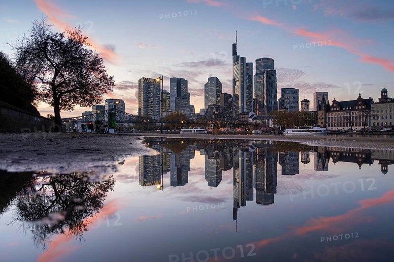 Frankfurt's banking skyline is reflected in a puddle in the evening, Frankfurt am Main, Hesse, Germany