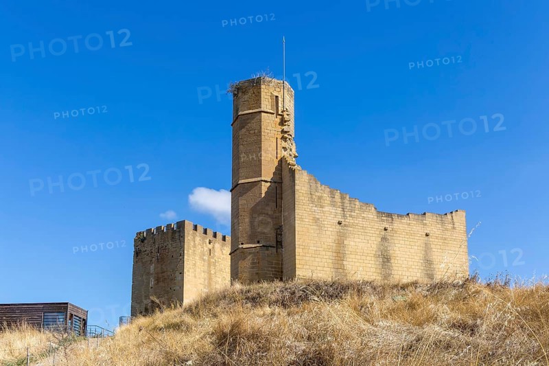 Castle and palace ruin in medieval village of Uncastillo, Cinco Villas, Zaragoza province, Aragon, Spain