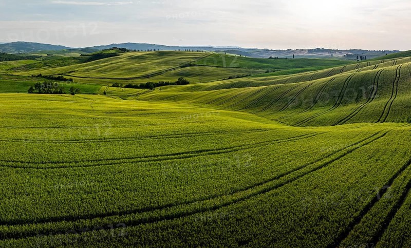 Hilly fields near Pienza, Val d'Orcia, Tuscany, Italy