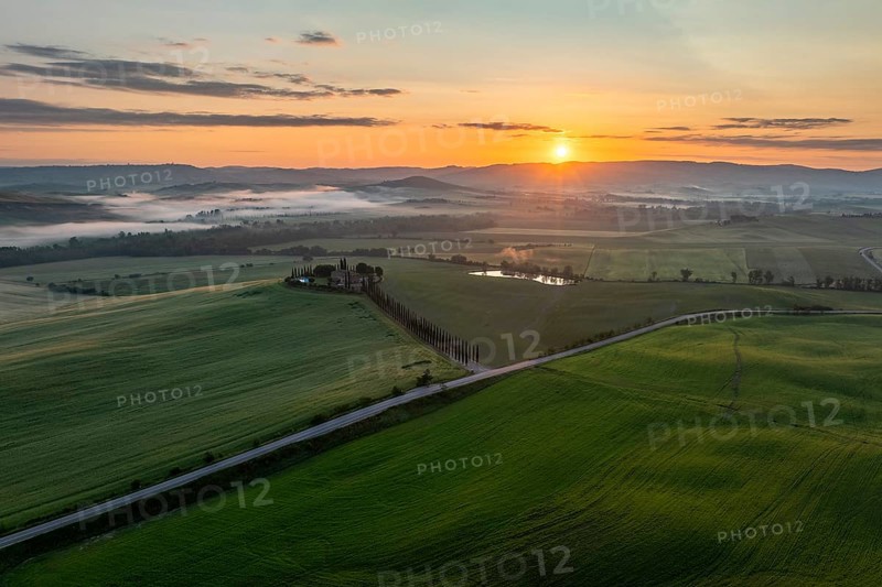 Poggio Covili estate with cypress alley (Cupressus) at sunrise, near San Quirico d'Orcia, Val d'Orcia, Siena Province, Tuscany, Italy