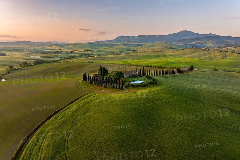 Estate with cypress alley (Cupressus) at sunrise, near San Quirico d'Orcia, Val d'Orcia, Siena Province, Tuscany, Italy