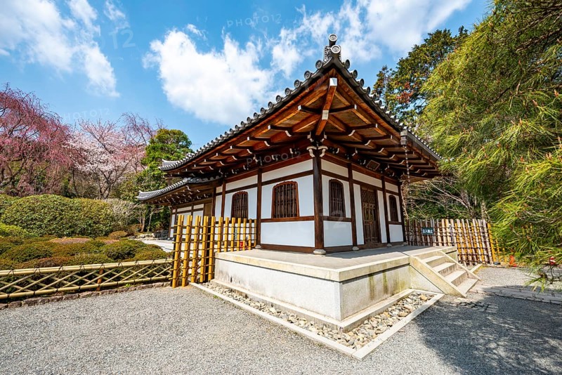 Ryoan-ji temple buildings, Zen Buddhist temple complex, in spring, Kyoto, Japan
