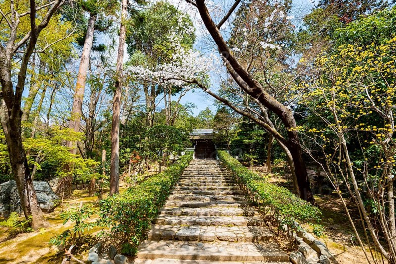 Staircase in the Japanese garden of Ryoan-ji, a Buddhist temple complex, in spring, Kyoto, Japan