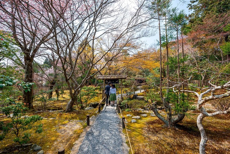 Visitors on a path in the Japanese garden of Ryoan-ji Temple, Zen Buddhist temple complex, in spring, Kyoto, Japan