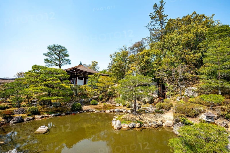 Japanese Garden with Pond, North Garden, Kitaniwa or Hokutei Garden, Ninna-ji Goths, Buddhist Temple Complex, Kyoto, Japan