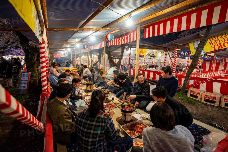 Cherry Blossom Festival, Hanami, Japanese eating grilled food at a long table, evening mood, Hirano Shrine, Kyoto, Japan